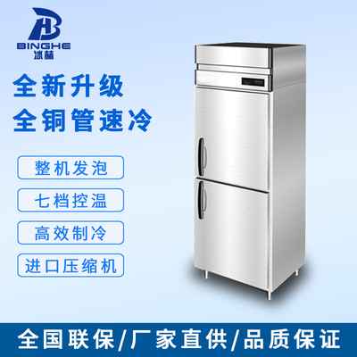 商用二门冰柜冰箱双温冷藏柜大容量保鲜柜立式冷柜厂家